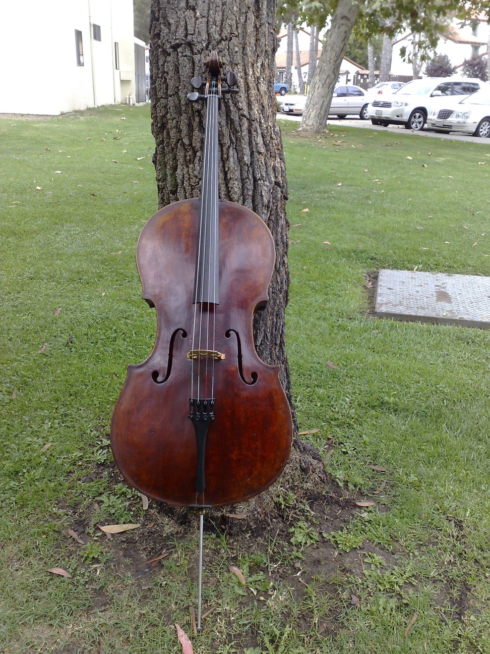 Beautiful 19th century german workshop cello $8000